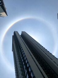 Twin Vew (D5), Apartment #504525701